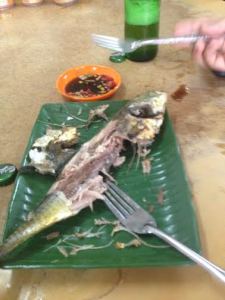 Malaysia Bar fish